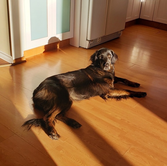 Meet your Posher, Melissa - Picture 1 of 1